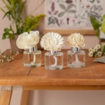 Scentsy Scentsy
